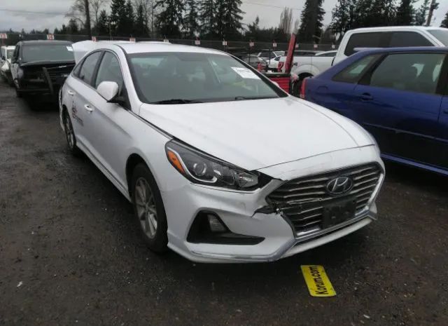 HYUNDAI SONATA 2019 5npe24af5kh749215