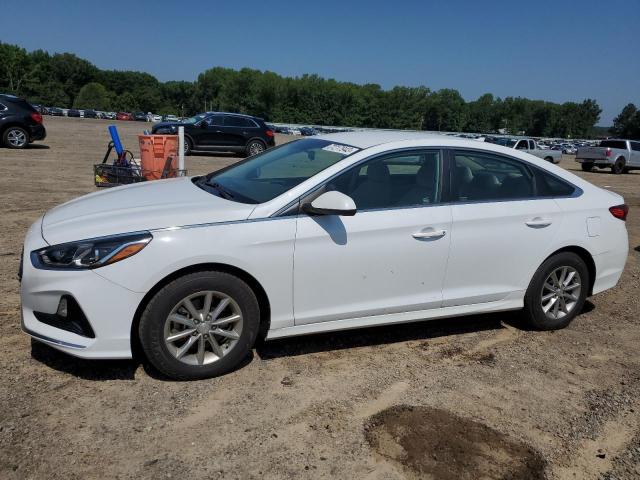 HYUNDAI SONATA SE 2019 5npe24af5kh759498