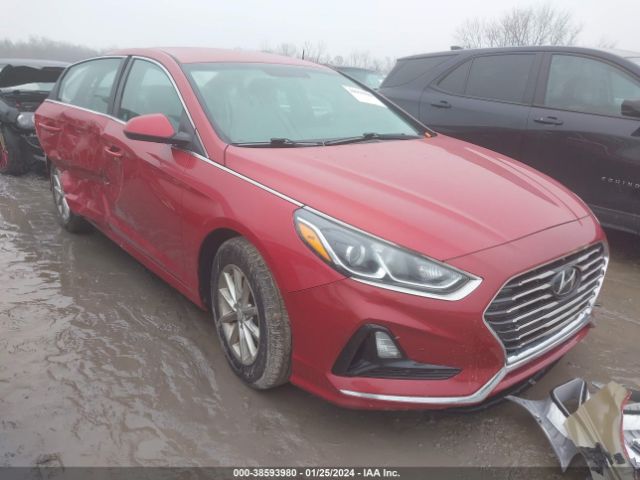 HYUNDAI SONATA 2019 5npe24af5kh763163