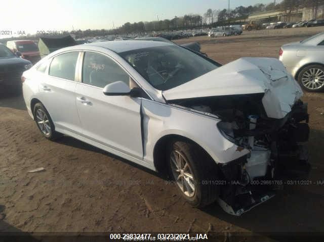 HYUNDAI SONATA 2019 5npe24af5kh766001