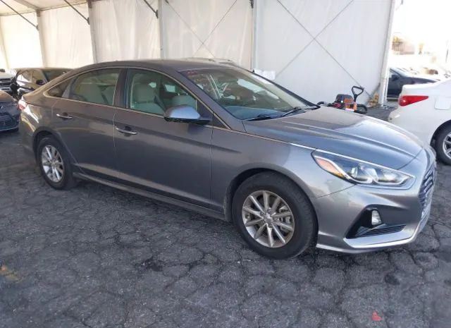 HYUNDAI SONATA 2019 5npe24af5kh766483