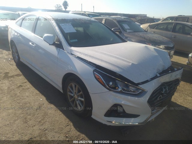 HYUNDAI SONATA 2019 5npe24af5kh768590