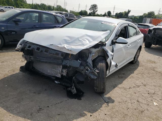 HYUNDAI SONATA SE 2019 5npe24af5kh770680