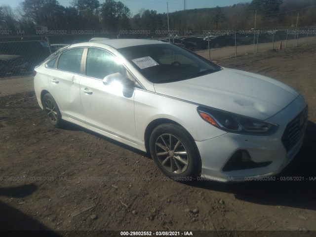 HYUNDAI SONATA 2019 5npe24af5kh770811