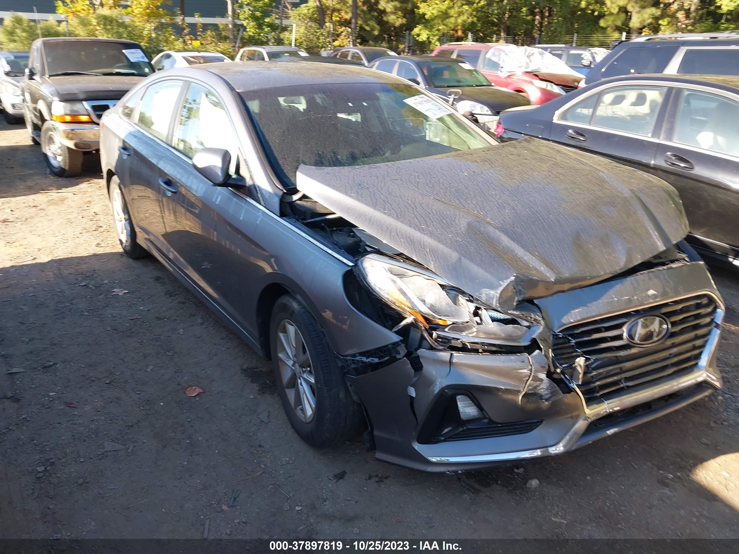 HYUNDAI SONATA 2019 5npe24af5kh771019