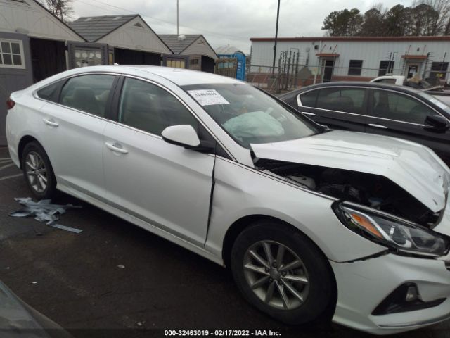 HYUNDAI SONATA 2019 5npe24af5kh771490