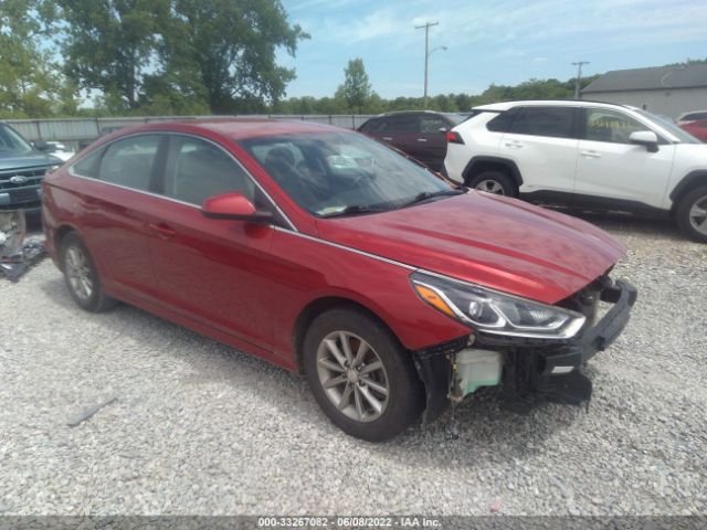 HYUNDAI SONATA 2019 5npe24af5kh772347