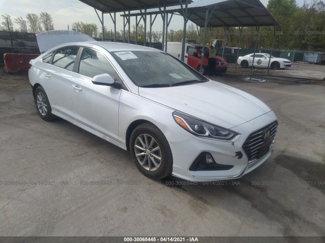 HYUNDAI SONATA 2019 5npe24af5kh777693