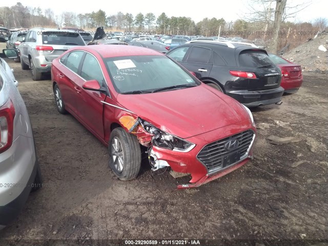 HYUNDAI SONATA 2019 5npe24af5kh784546