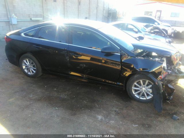 HYUNDAI SONATA 2019 5npe24af5kh787754