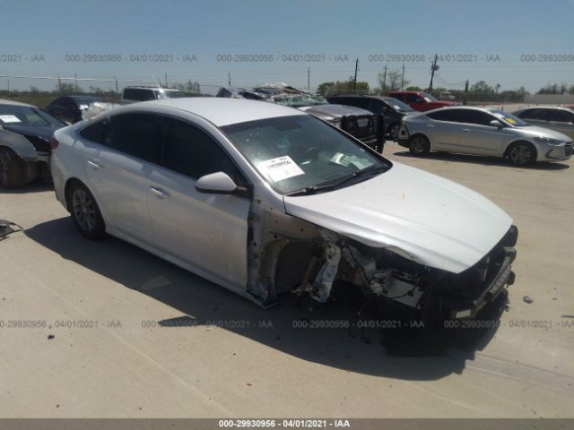 HYUNDAI SONATA 2019 5npe24af5kh789729