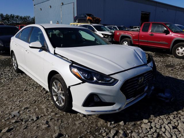 HYUNDAI SONATA SE 2019 5npe24af5kh798365