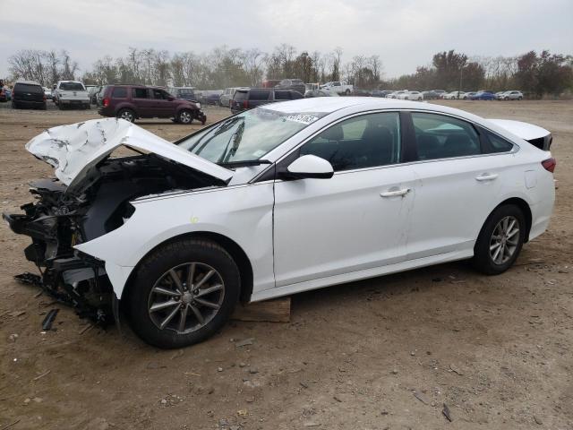 HYUNDAI SONATA 2019 5npe24af5kh801880