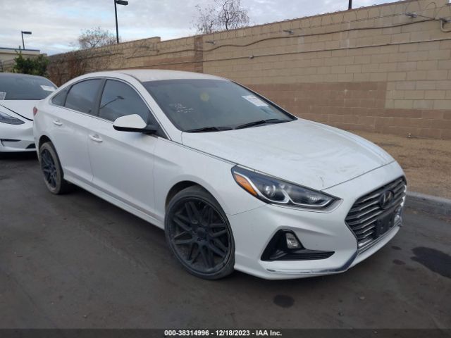 HYUNDAI SONATA 2019 5npe24af5kh804164