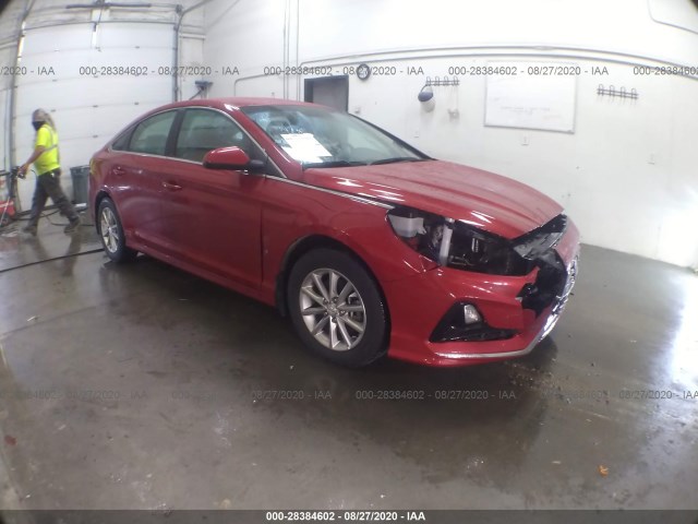 HYUNDAI SONATA 2019 5npe24af5kh805458