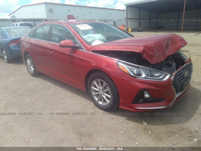 HYUNDAI SONATA 2019 5npe24af5kh807257