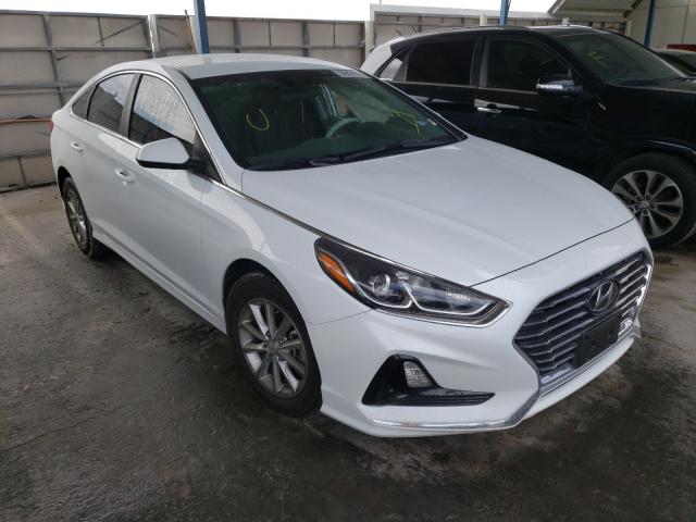 HYUNDAI SONATA SE 2019 5npe24af5kh813026