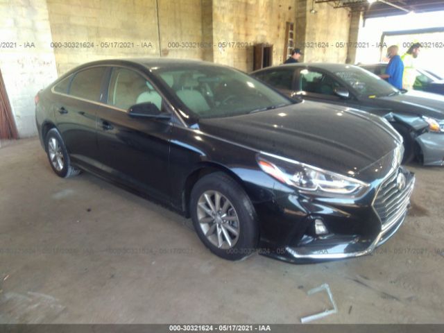 HYUNDAI SONATA 2019 5npe24af5kh813883