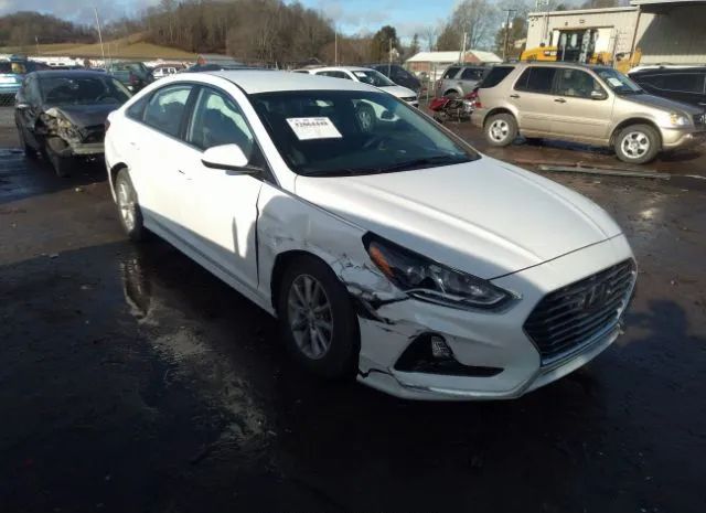 HYUNDAI SONATA 2019 5npe24af5kh819456