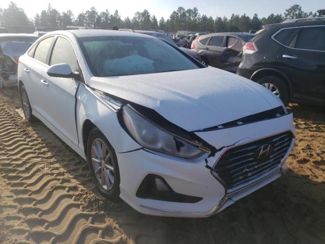 HYUNDAI SONATA SE 2019 5npe24af5kh819571