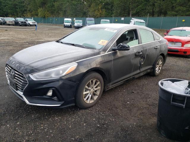 HYUNDAI SONATA 2019 5npe24af5kh821272