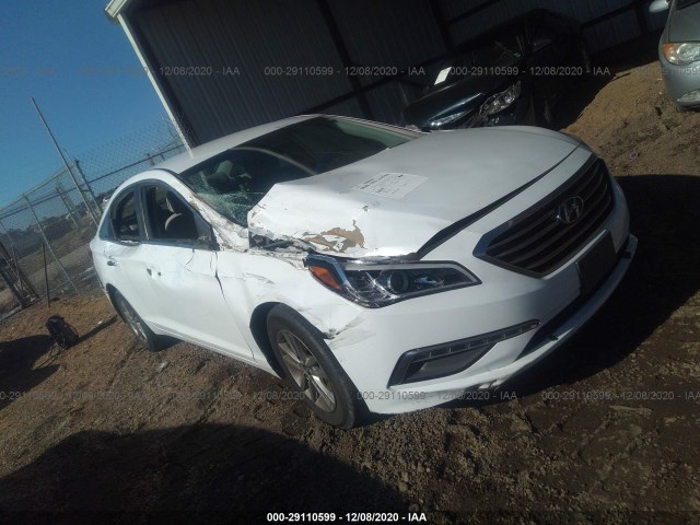 HYUNDAI SONATA 2015 5npe24af6fh007704