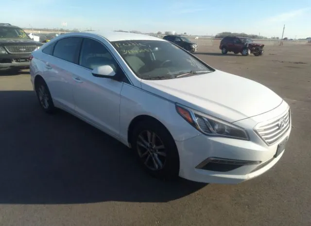 HYUNDAI SONATA 2015 5npe24af6fh009761