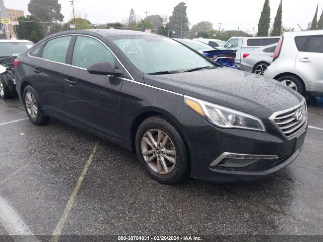 HYUNDAI SONATA 2015 5npe24af6fh022834