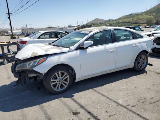 HYUNDAI SONATA 2015 5npe24af6fh042467