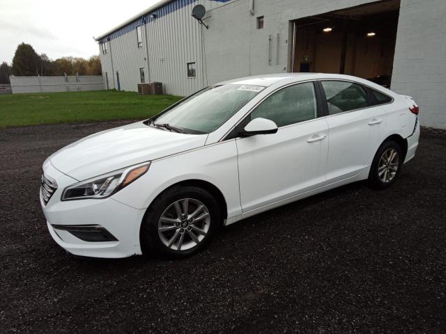 HYUNDAI SONATA 2015 5npe24af6fh056370