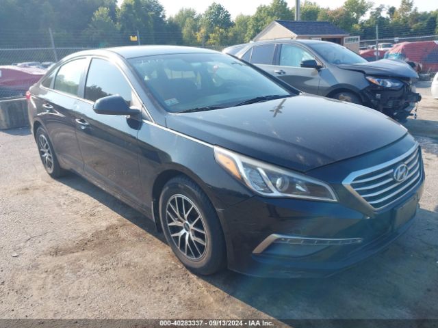 HYUNDAI SONATA 2015 5npe24af6fh062931