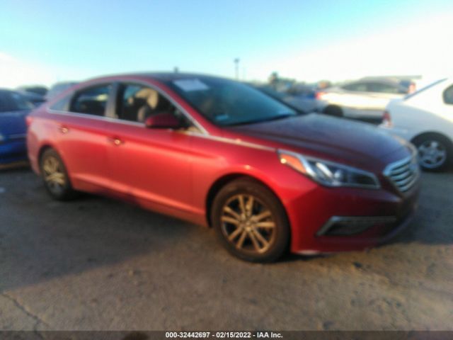 HYUNDAI SONATA 2015 5npe24af6fh085464