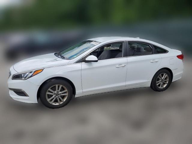 HYUNDAI SONATA 2015 5npe24af6fh087571