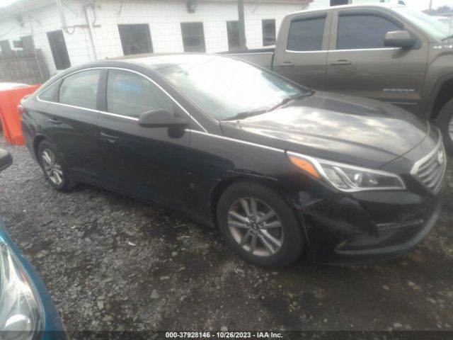 HYUNDAI SONATA 2015 5npe24af6fh095573