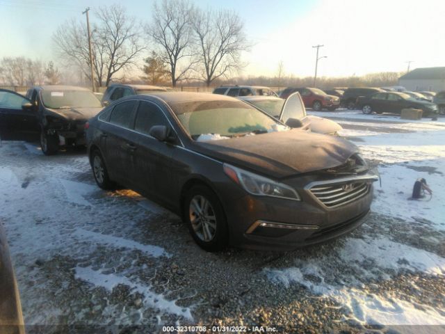 HYUNDAI SONATA 2015 5npe24af6fh098344