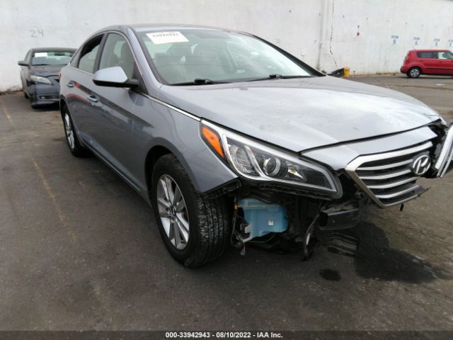 HYUNDAI SONATA 2015 5npe24af6fh121881