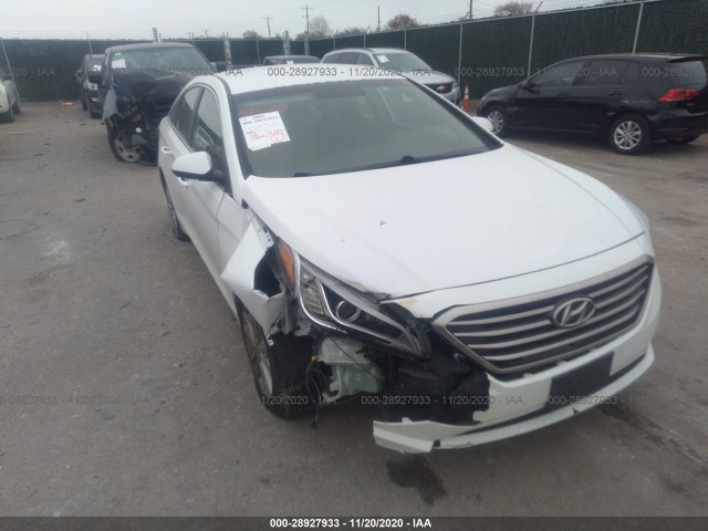 HYUNDAI SONATA 2015 5npe24af6fh122044