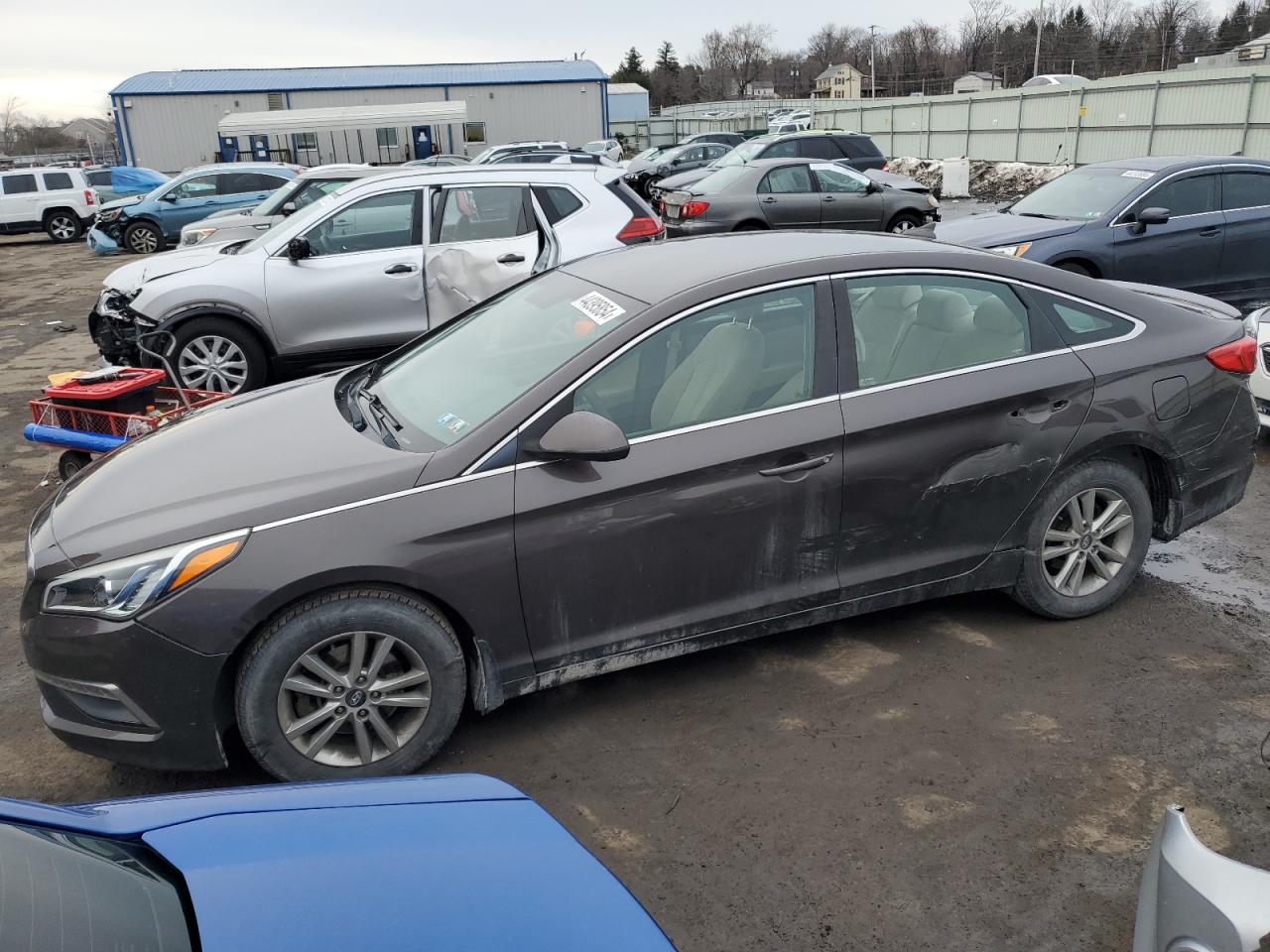 HYUNDAI SONATA 2015 5npe24af6fh146828