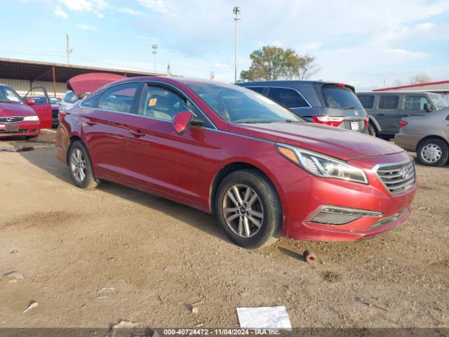 HYUNDAI SONATA 2015 5npe24af6fh147915