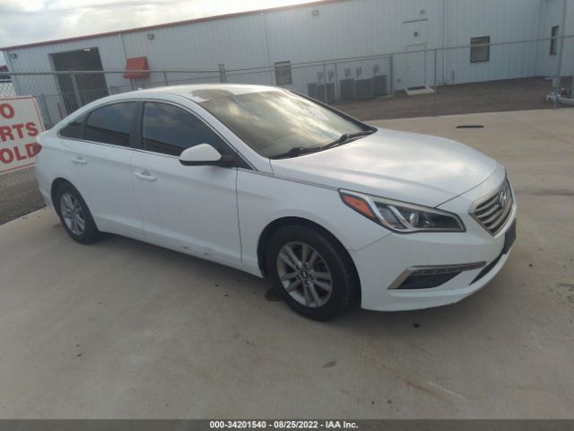 HYUNDAI SONATA 2015 5npe24af6fh152970