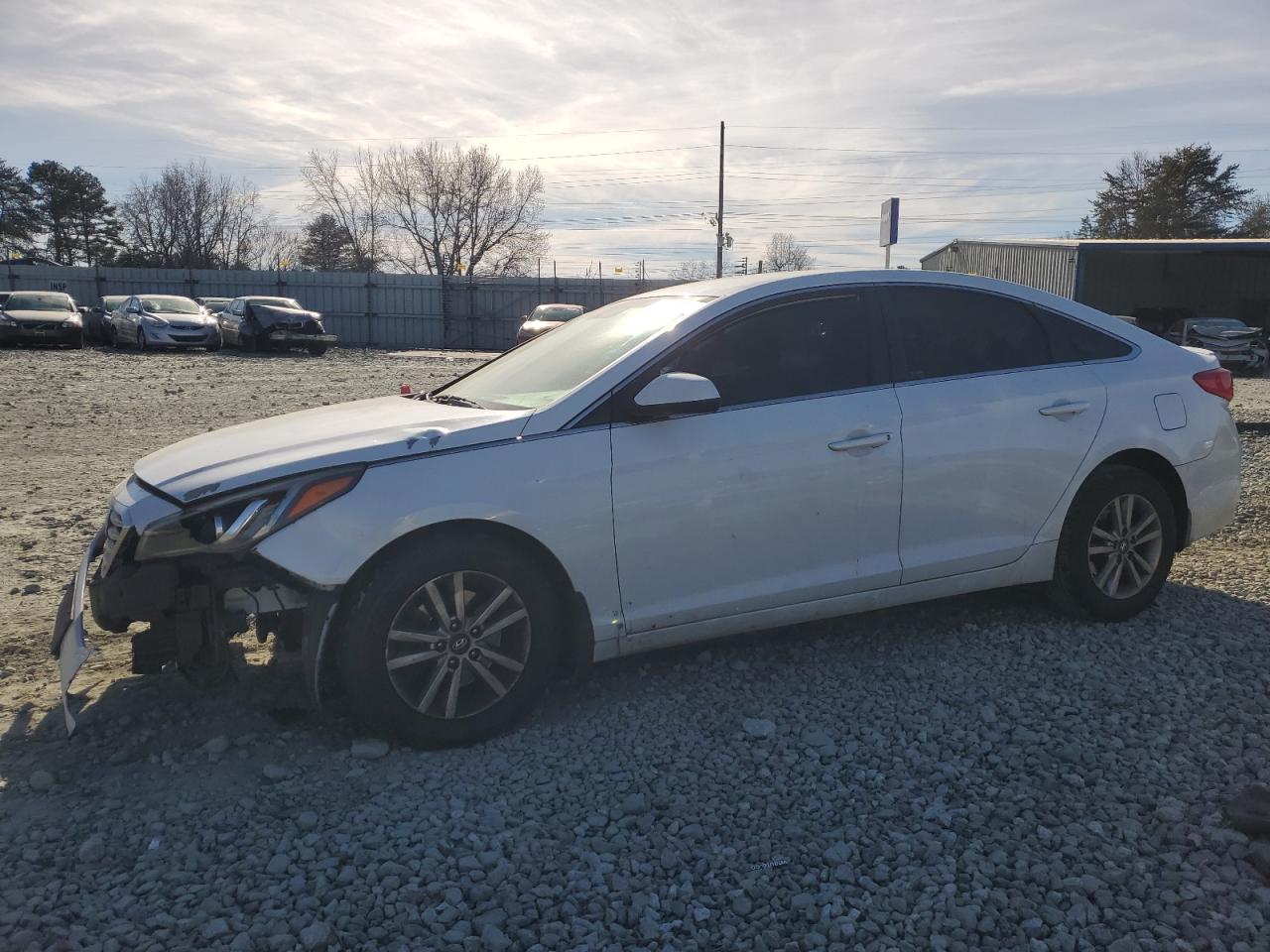 HYUNDAI SONATA 2015 5npe24af6fh173284