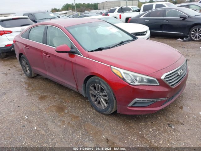 HYUNDAI SONATA 2015 5npe24af6fh174404