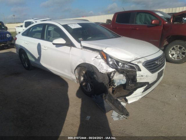 HYUNDAI SONATA 2015 5npe24af6fh183510