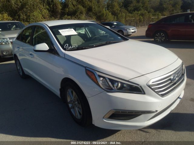 HYUNDAI SONATA 2015 5npe24af6fh192451