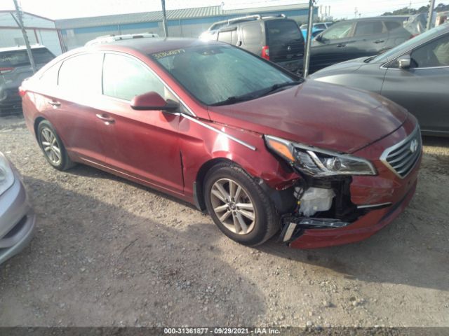 HYUNDAI SONATA 2015 5npe24af6fh195639