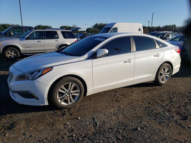 HYUNDAI SONATA 2015 5npe24af6fh204551