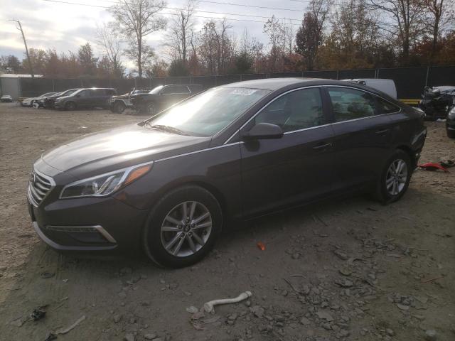 HYUNDAI SONATA 2015 5npe24af6fh212388