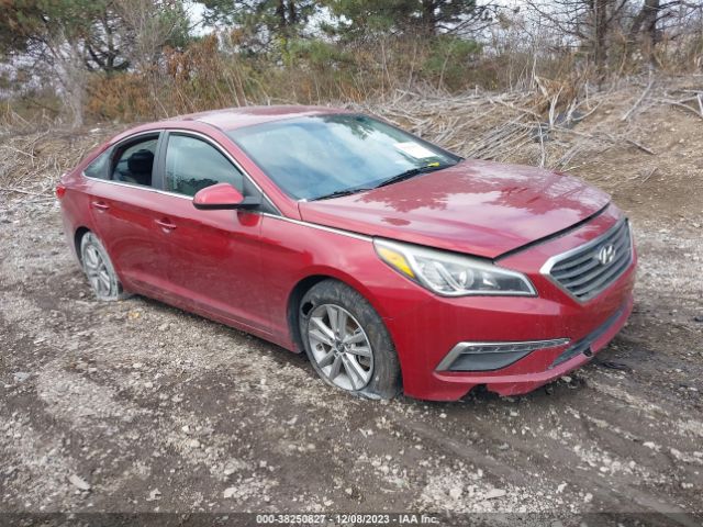 HYUNDAI SONATA 2015 5npe24af6fh214772