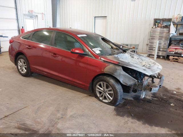 HYUNDAI SONATA 2015 5npe24af6fh227473