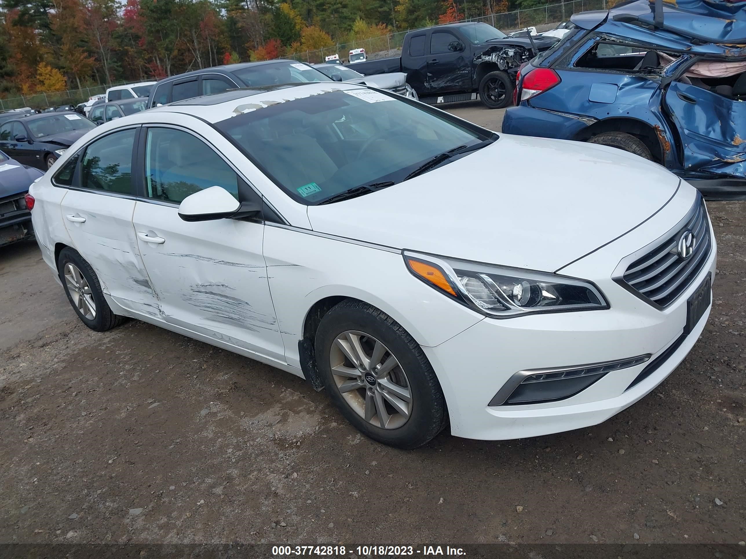 HYUNDAI SONATA 2015 5npe24af6fh231541